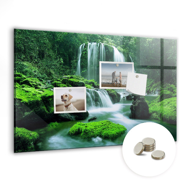 Quadro magnético de parede Cachoeira entre o musgo