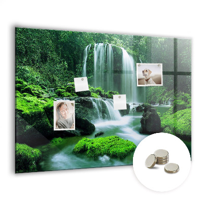 Quadro magnético de parede Cachoeira entre o musgo