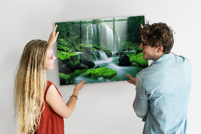 Quadro magnético de parede Cachoeira entre o musgo