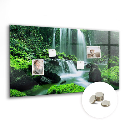 Quadro magnético de parede Cachoeira entre o musgo