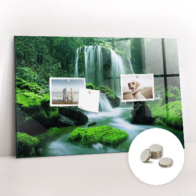 Quadro magnético de parede Cachoeira entre o musgo
