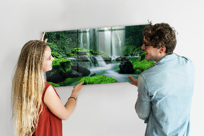 Quadro magnético de parede Cachoeira entre o musgo