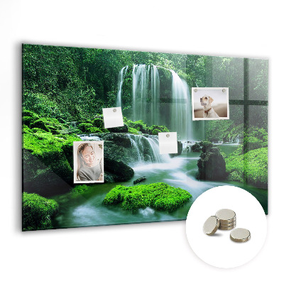 Quadro magnético de parede Cachoeira entre o musgo