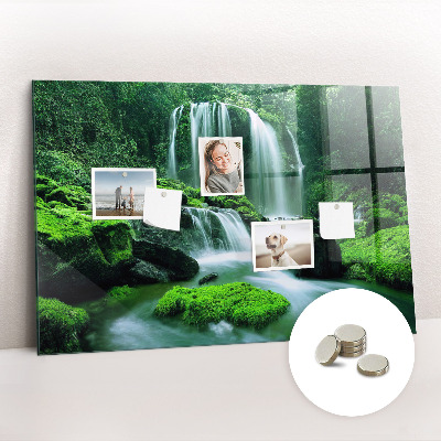 Quadro magnético de parede Cachoeira entre o musgo
