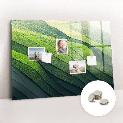 Quadro magnético decorativo Campos verdes abstratos