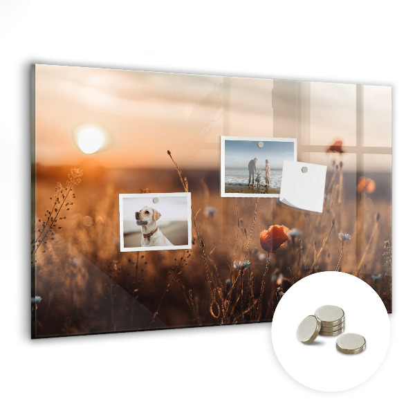 Quadro magnético decorativo Nascer do sol no campo