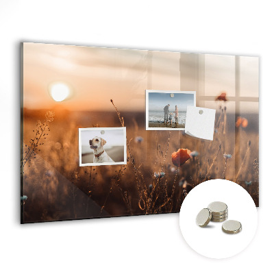 Quadro magnético decorativo Nascer do sol no campo