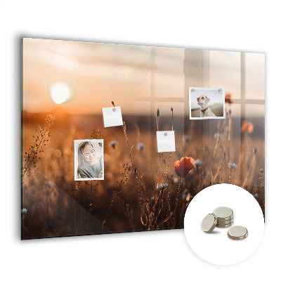 Quadro magnético decorativo Nascer do sol no campo