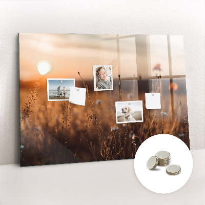 Quadro magnético decorativo Nascer do sol no campo