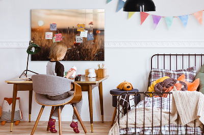 Quadro magnético decorativo Nascer do sol no campo