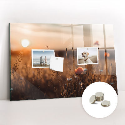 Quadro magnético decorativo Nascer do sol no campo