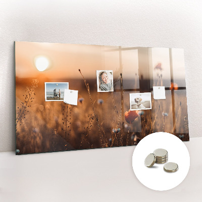 Quadro magnético decorativo Nascer do sol no campo