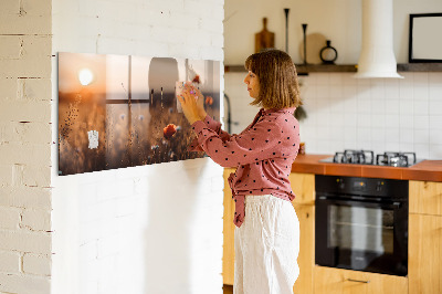 Quadro magnético decorativo Nascer do sol no campo