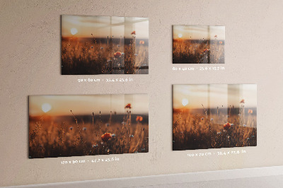 Quadro magnético decorativo Nascer do sol no campo