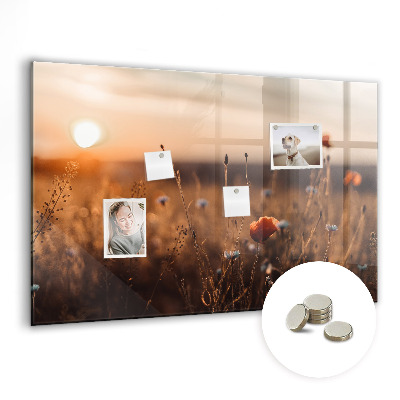 Quadro magnético decorativo Nascer do sol no campo