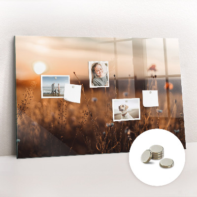 Quadro magnético decorativo Nascer do sol no campo