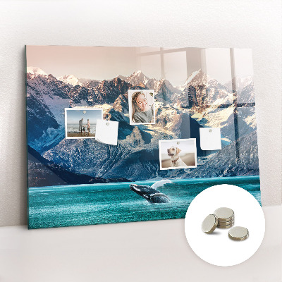 Painel magnético Água de baleia