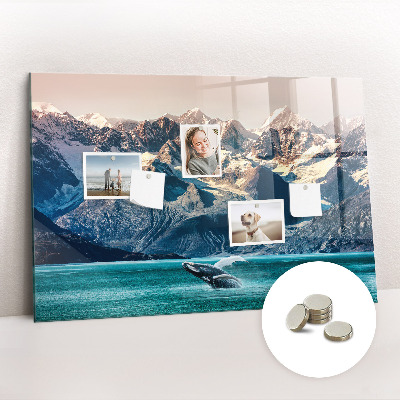 Painel magnético Água de baleia