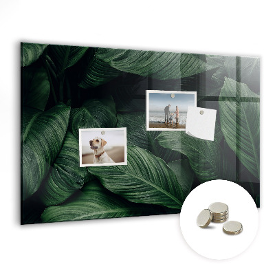 Quadro magnético de parede Monstera tropical