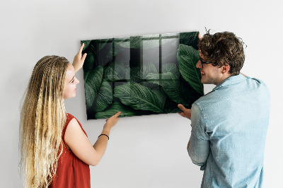 Quadro magnético de parede Monstera tropical