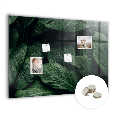 Quadro magnético de parede Monstera tropical