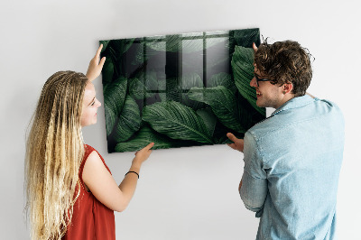 Quadro magnético de parede Monstera tropical