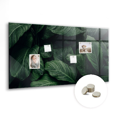 Quadro magnético de parede Monstera tropical