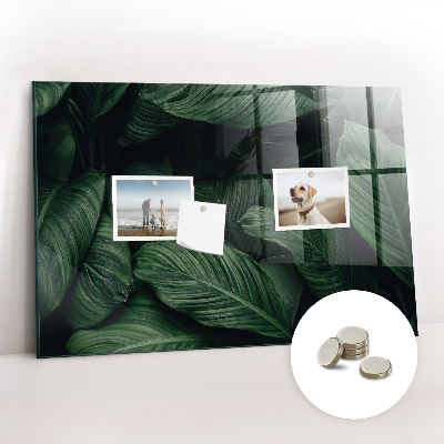 Quadro magnético de parede Monstera tropical