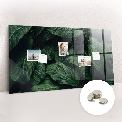 Quadro magnético de parede Monstera tropical