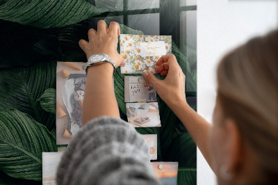 Quadro magnético de parede Monstera tropical