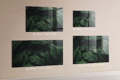 Quadro magnético de parede Monstera tropical