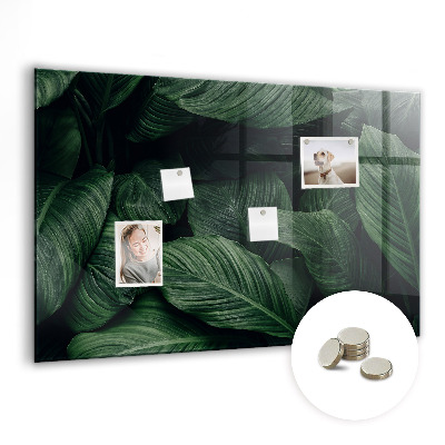 Quadro magnético de parede Monstera tropical