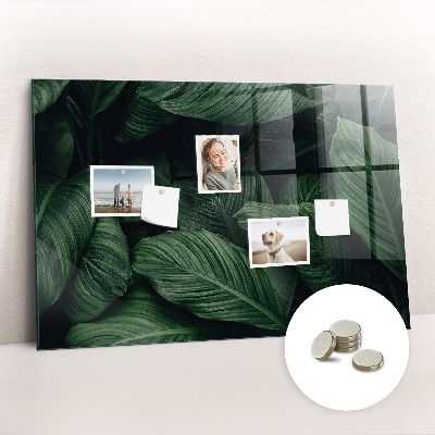 Quadro magnético de parede Monstera tropical