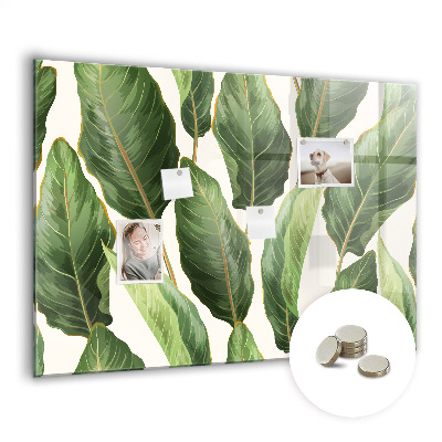 Quadro magnético de parede Folhas de palmeira