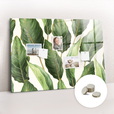 Quadro magnético de parede Folhas de palmeira