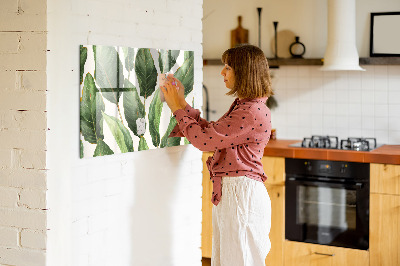 Quadro magnético de parede Folhas de palmeira