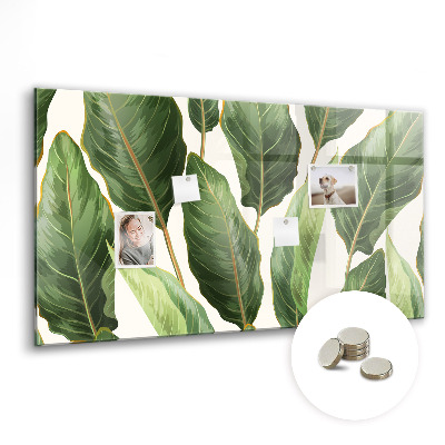 Quadro magnético de parede Folhas de palmeira