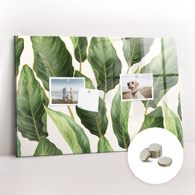 Quadro magnético de parede Folhas de palmeira