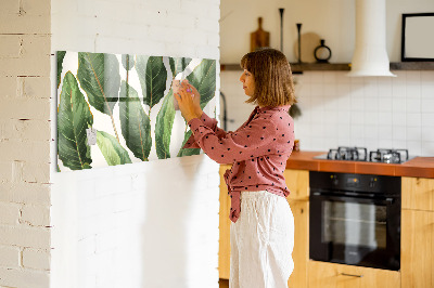 Quadro magnético de parede Folhas de palmeira