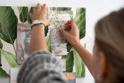 Quadro magnético de parede Folhas de palmeira