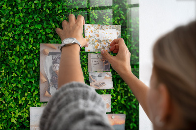 Quadro magnético de parede Folhas de sebe