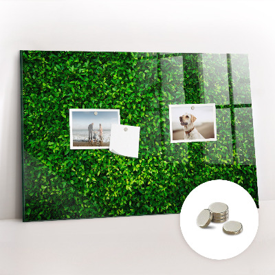 Quadro magnético de parede Folhas de sebe