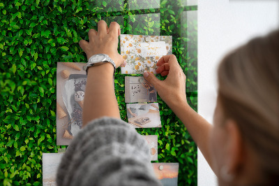 Quadro magnético de parede Folhas de sebe