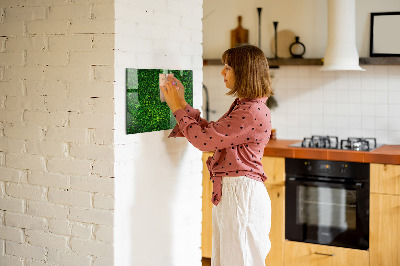 Quadro magnético de parede Folhas de sebe