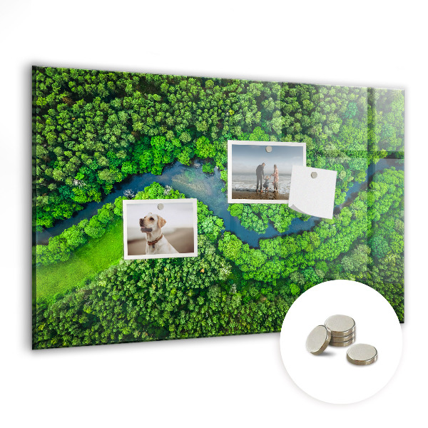 Quadro magnético de parede Rio na floresta