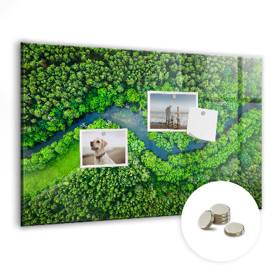 Quadro magnético de parede Rio na floresta