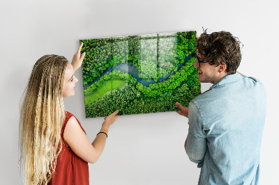 Quadro magnético de parede Rio na floresta