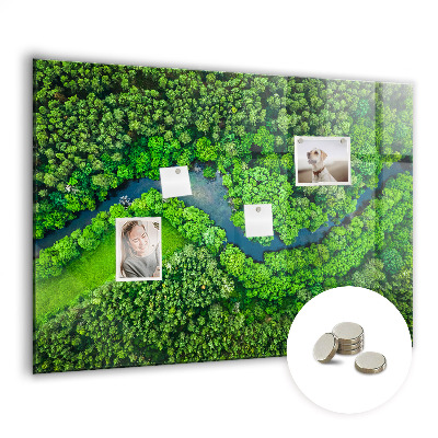 Quadro magnético de parede Rio na floresta