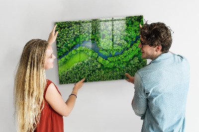 Quadro magnético de parede Rio na floresta