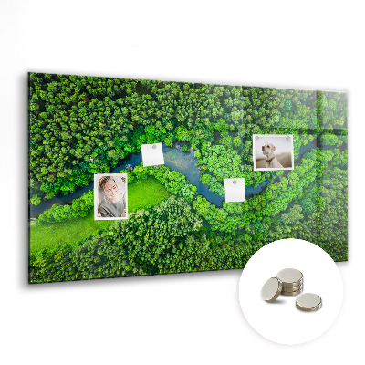 Quadro magnético de parede Rio na floresta